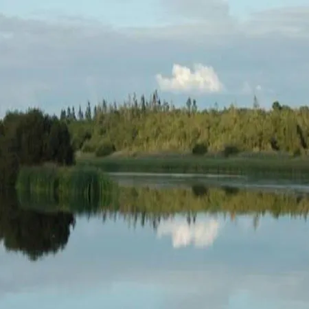فندق مبيت وإفطار Lough Ree Manor 5*