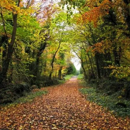 فندق مبيت وإفطار Lough Ree Manor